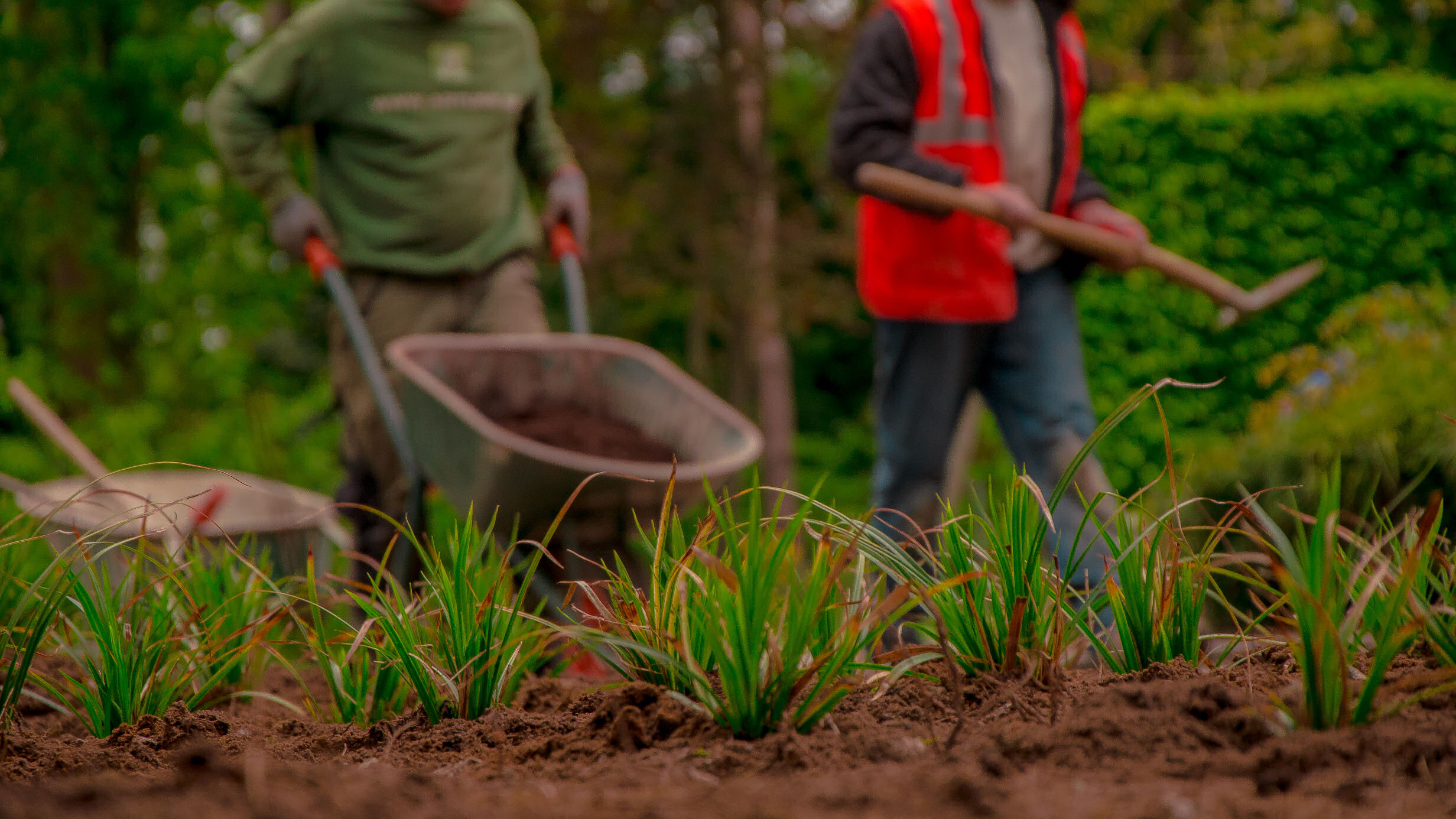 tuinmannen Linkhout | Artune