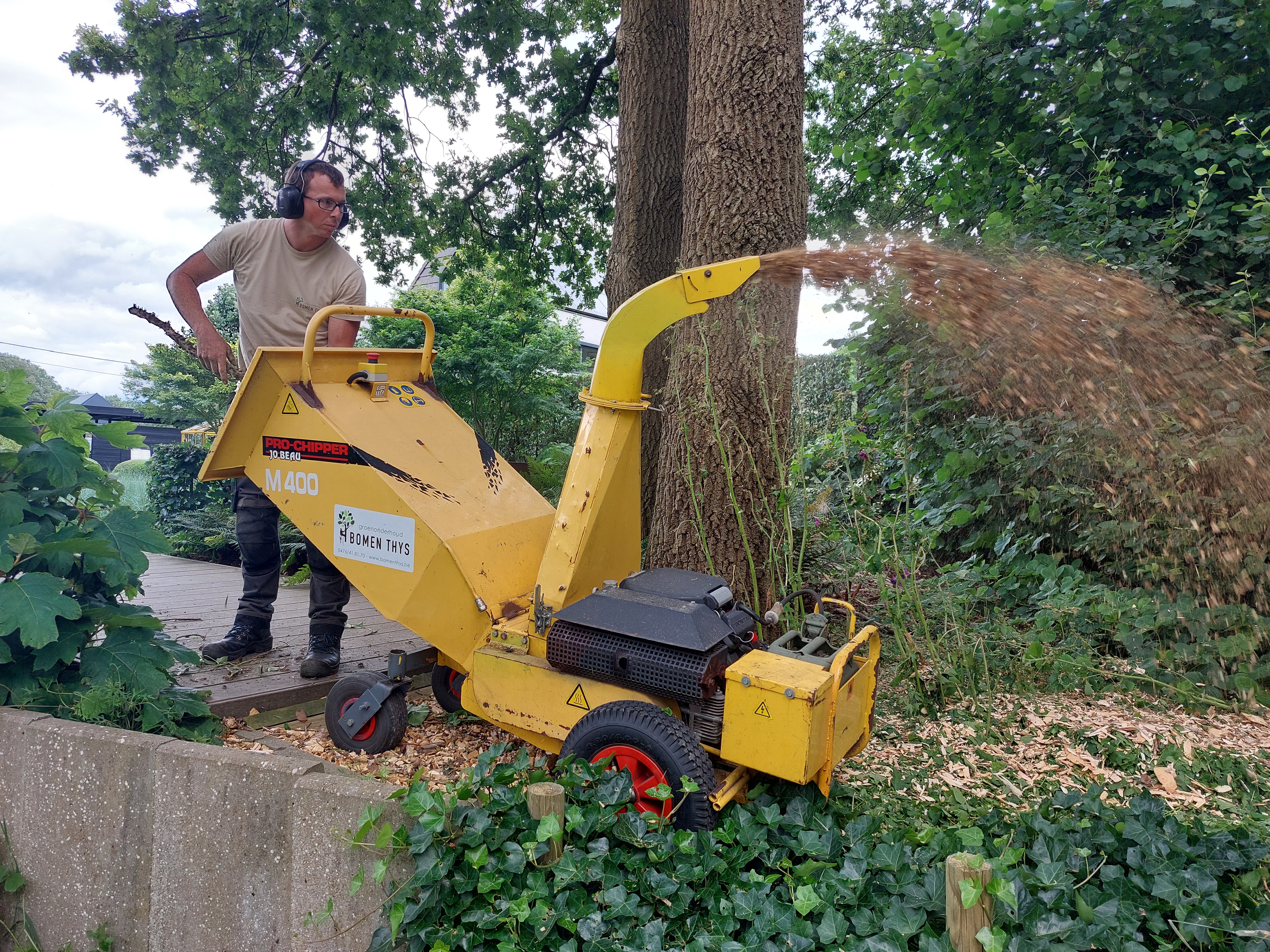 tuinmannen Geel | Bomen Thys