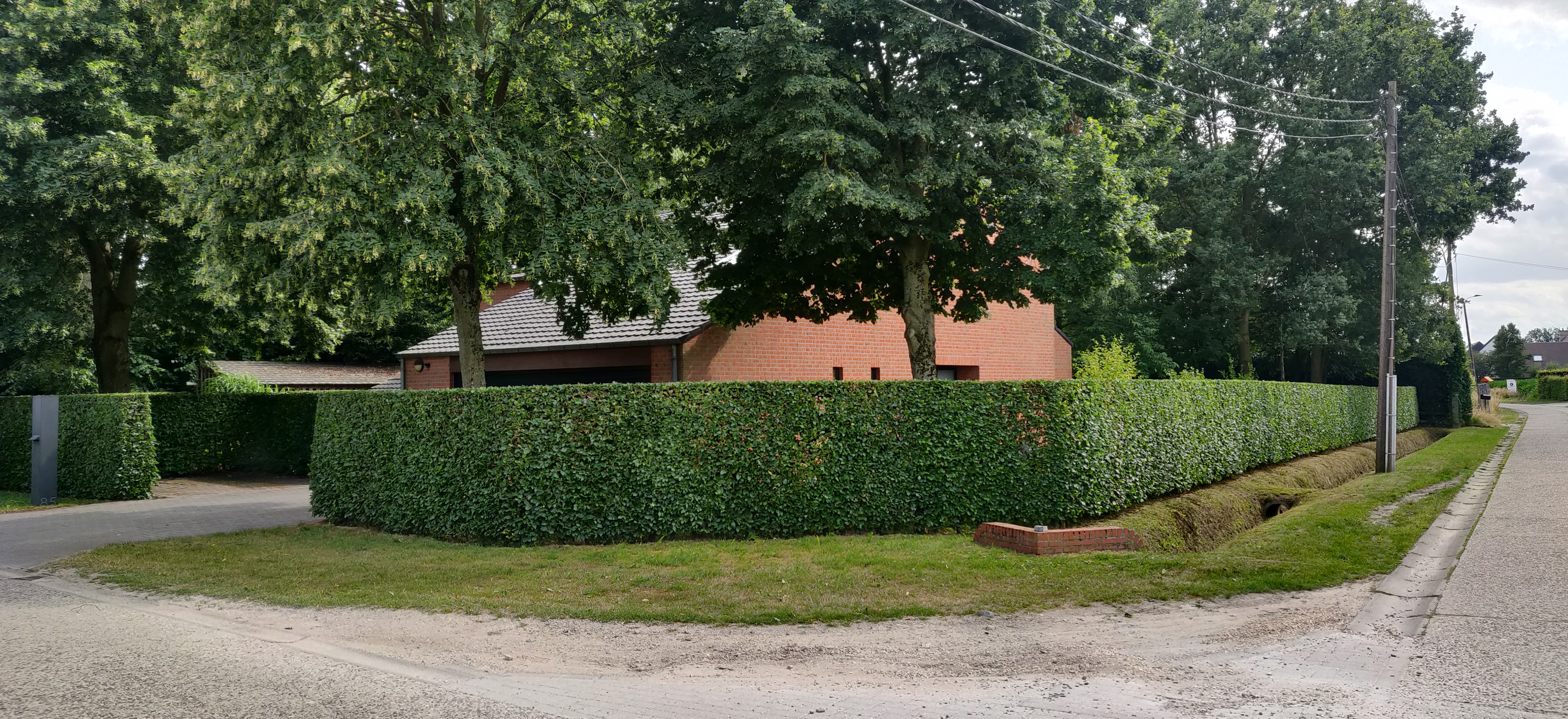 tuinmannen Geel | Bomen Thys